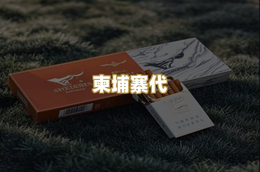 柬埔寨代